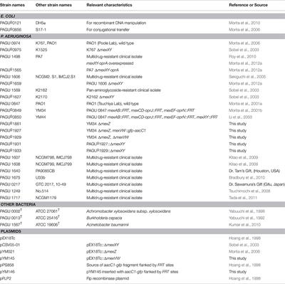 Berberine Is a Novel Type Efflux Inhibitor Which Attenuates the MexXY-Mediated Aminoglycoside Resistance in Pseudomonas aeruginosa